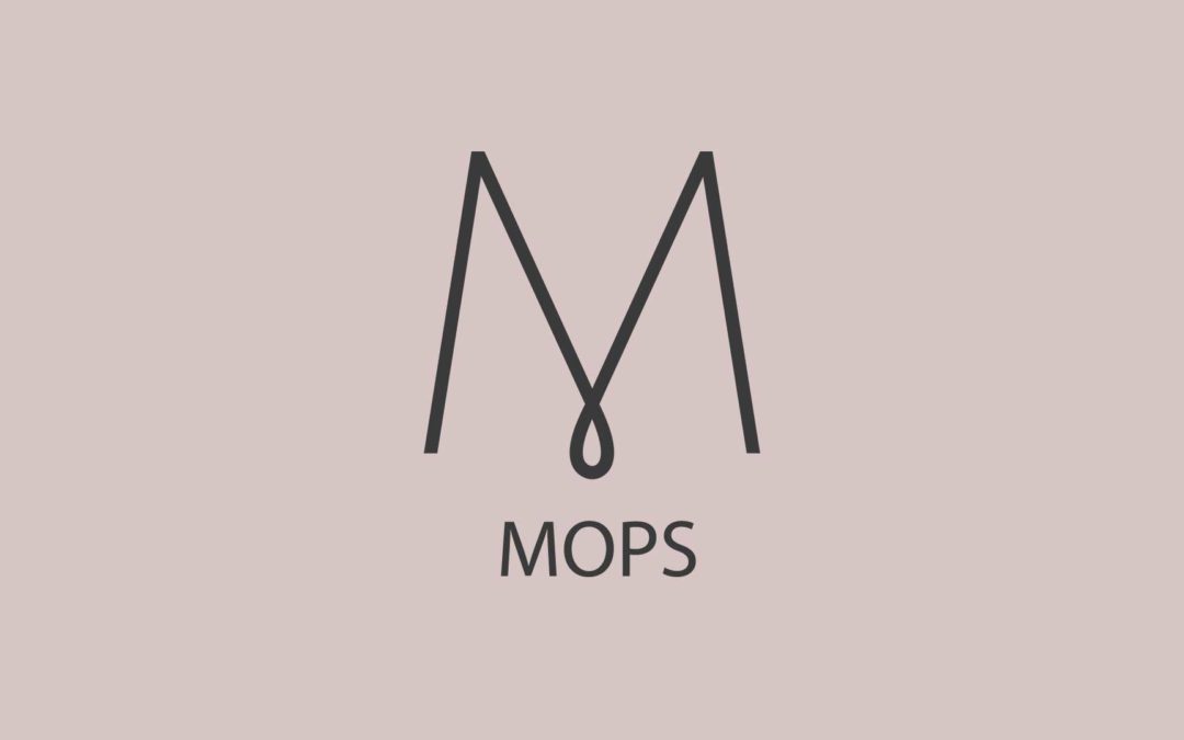 MOPS Meeting